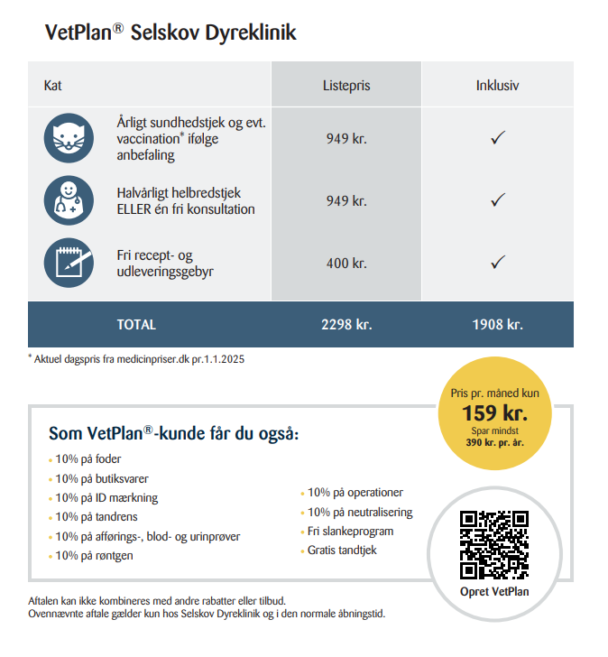 vetplan kat