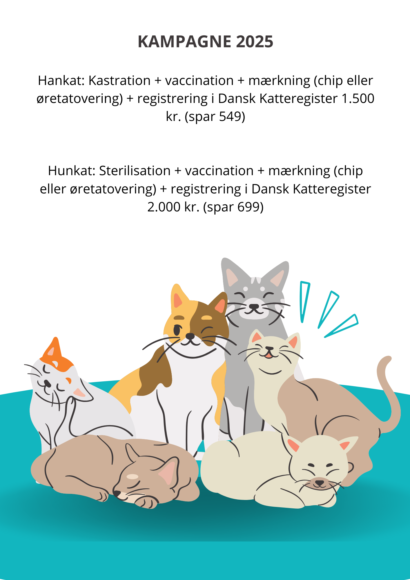 brown cream illustration international cat day  flyer (a4)